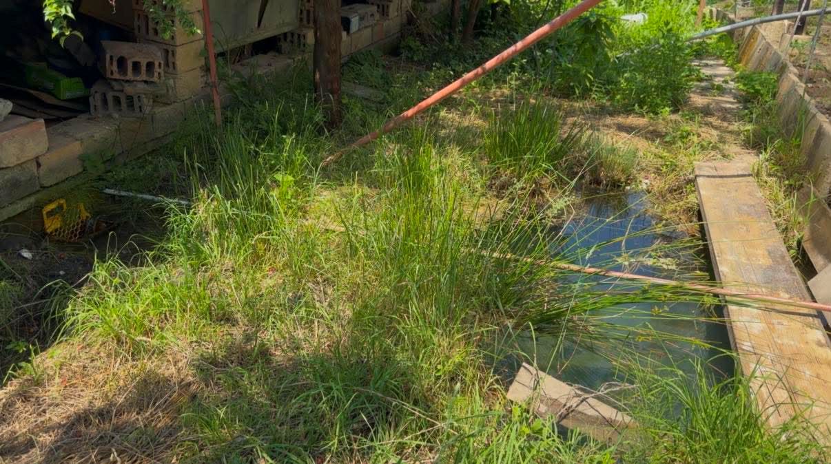 12.06.2026 г. Орешак 3.jpg